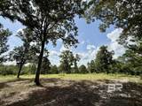 5573 County Road 1 - Photo 14