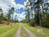 5573 County Road 1 - Photo 27