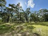 5573 County Road 1 - Photo 28