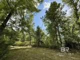 5573 County Road 1 - Photo 3