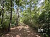 5573 County Road 1 - Photo 30
