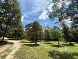 5573 County Road 1 - Photo 32