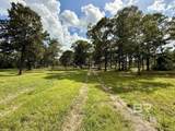 5573 County Road 1 - Photo 33