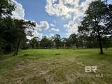5573 County Road 1 - Photo 34