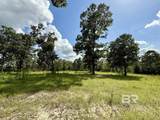 5573 County Road 1 - Photo 37