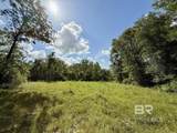 5573 County Road 1 - Photo 38