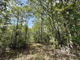 5573 County Road 1 - Photo 39