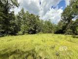 5573 County Road 1 - Photo 40