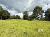 5573 County Road 1 - Photo 5