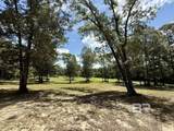 5573 County Road 1 - Photo 52
