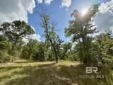 5573 County Road 1 - Photo 6