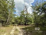 5573 County Road 1 - Photo 8