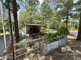 5573 County Road 1 - Photo 80