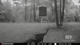 5573 County Road 1 - Photo 97