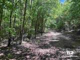 2610 Highway 4 - Photo 78
