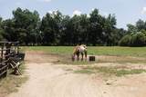 11882 Fieldcrest Lane - Photo 8