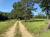 111 Fleming Lane - Photo 29