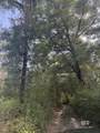 0 Browns Landing Road - Photo 10