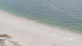 27070 Perdido Beach Boulevard - Photo 27