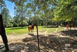36001 Sibley Road - Photo 56