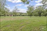 13415 Roy Miller Road - Photo 51