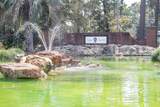 175 Montclair Loop - Photo 40
