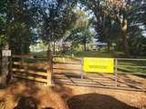 15686 County Road 9 - Photo 13