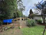 23447 Frances Street - Photo 50
