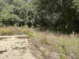 17058 Foley Beach Expressway - Photo 7