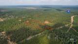 0 County Road 87 - Photo 2