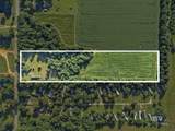 9590 County Road 34 - Photo 18