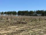 8 County Road 64 - Photo 7