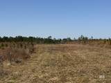 8 County Road 64 - Photo 9