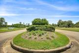 30880 Pine Court - Photo 43