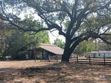 16253 Tolbert Road - Photo 11