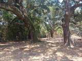 16253 Tolbert Road - Photo 3