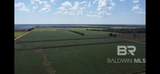 11627 Grantham Road - Photo 2
