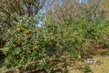 5912 Cansler Drive - Photo 46