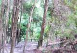 0 Juniper Road - Photo 11
