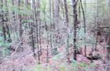0 Juniper Road - Photo 14