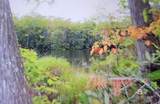 0 Juniper Road - Photo 19