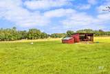 17425 County Road 55 - Photo 30