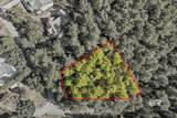 33244 Trinity Wood Drive - Photo 3