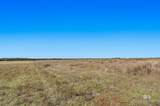 14833 County Road 91 - Photo 4
