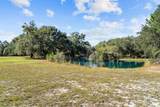 22506 Doc Mcduffie Road - Photo 3