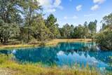 22506 Doc Mcduffie Road - Photo 7