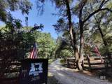 24250 River Road - Photo 4