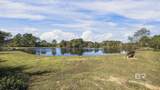 14164 Spearfish Drive - Photo 5