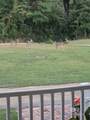 1700 Prospect Road - Photo 69