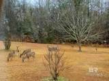 1700 Prospect Road - Photo 71